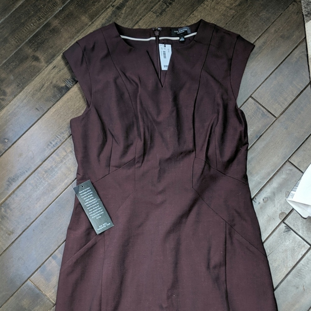 The Limited dress